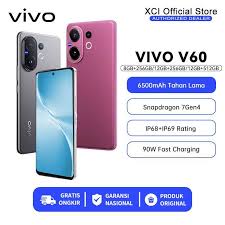 vivo v60